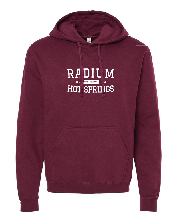 Hoodie - Collegiate Radium